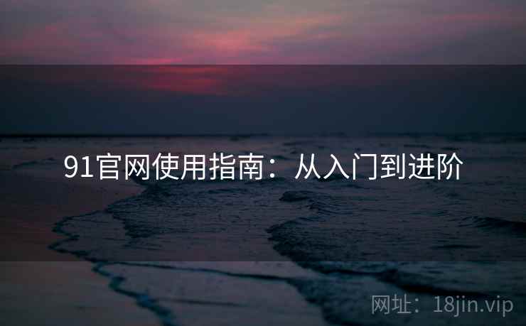 91官网使用指南:从入门到进阶 第1张 91官网使用指南:从入门到进阶 第1张