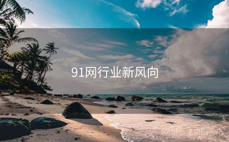 91网行业新风向  第2张