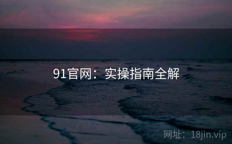 91官网:实操指南全解 第1张 91官网:实操指南全解 第1张