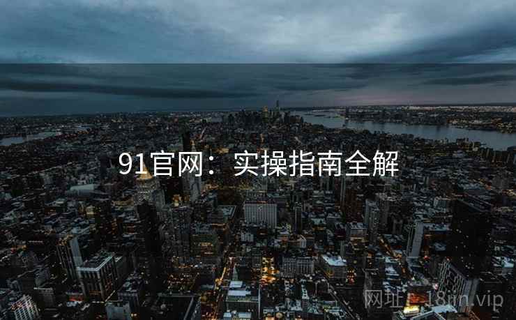 91官网:实操指南全解 第2张 91官网:实操指南全解 第2张