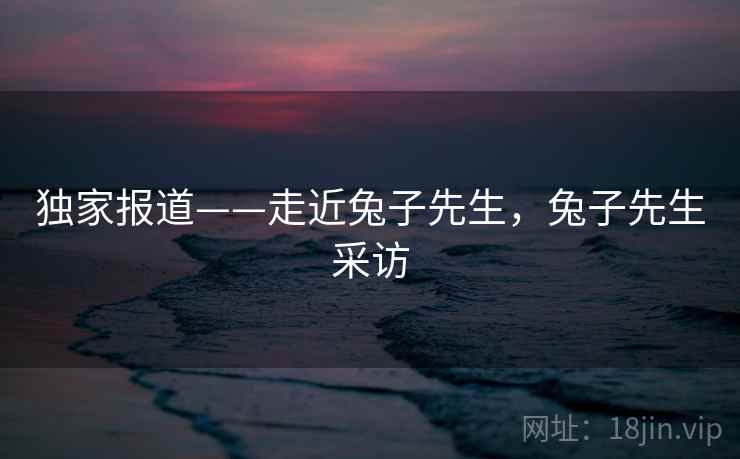 独家报道——走近兔子先生,兔子先生采访 第2张 独家报道——走近兔子先生,兔子先生采访 第2张