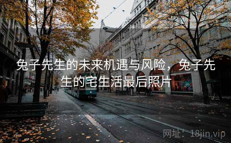 兔子先生的未来机遇与风险,兔子先生的宅生活最后照片 第2张 兔子先生的未来机遇与风险,兔子先生的宅生活最后照片 第2张