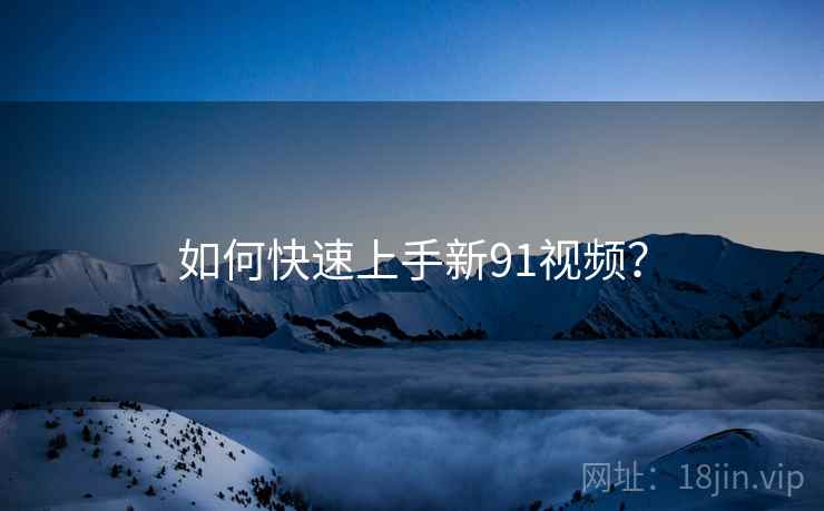如何快速上手新91视频? 第1张 如何快速上手新91视频? 第1张